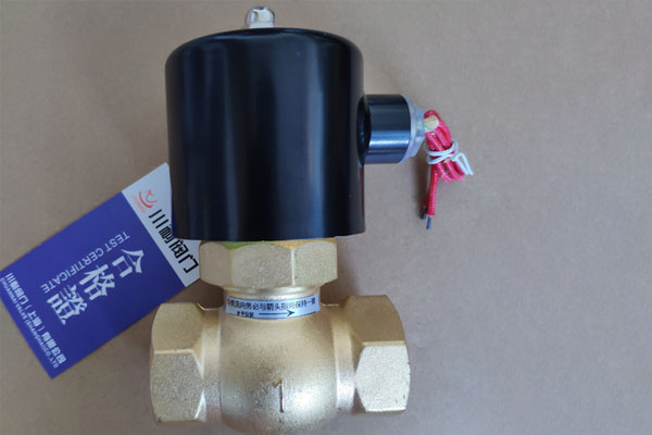 2L蒸汽（qì）電（diàn）磁（cí）閥